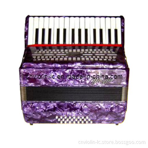 Piano Accordion (LAC3024)